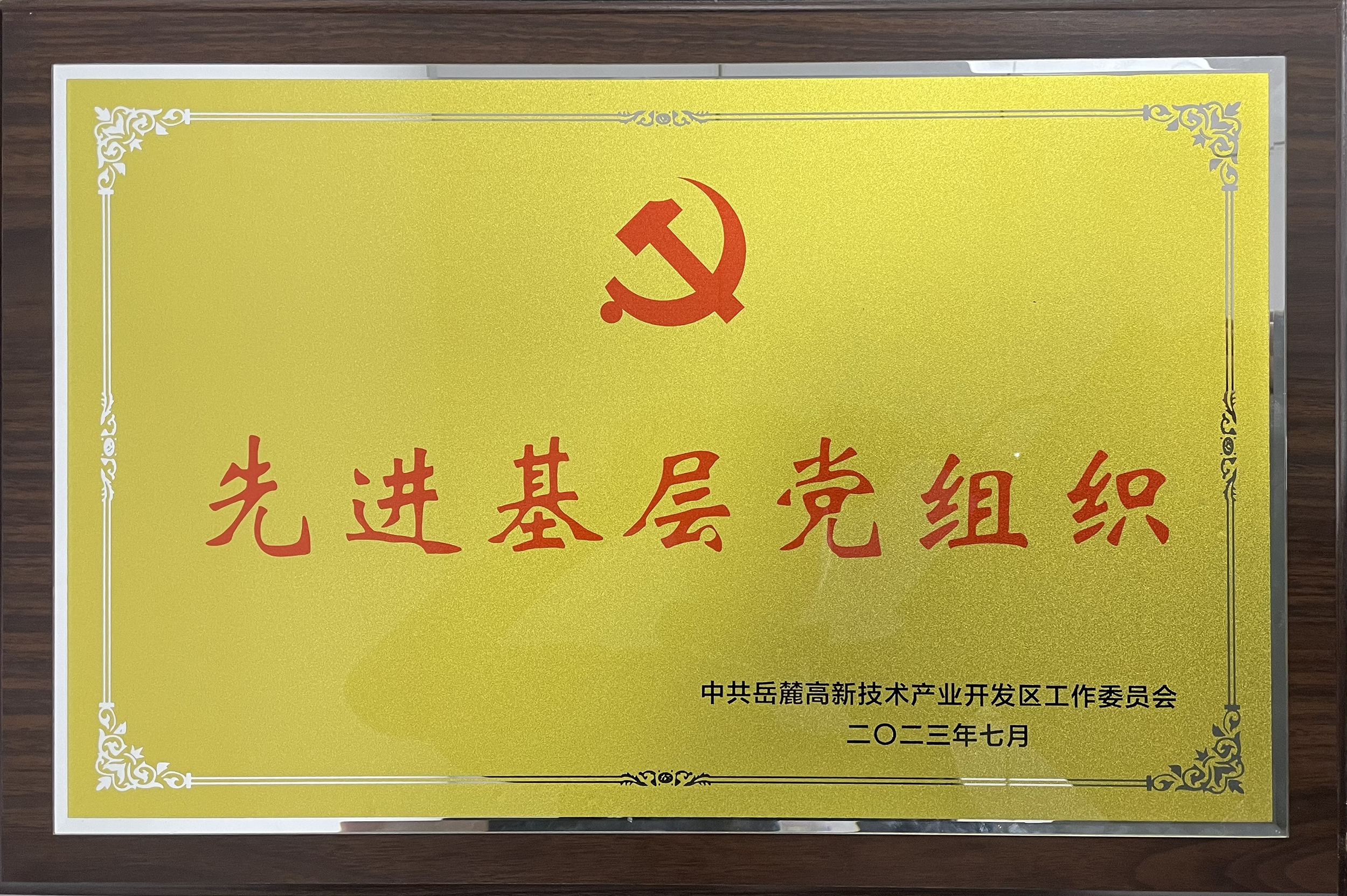 2023年7月，智谷集团党委获岳麓高新区党工委“先进基层党组织”称号。